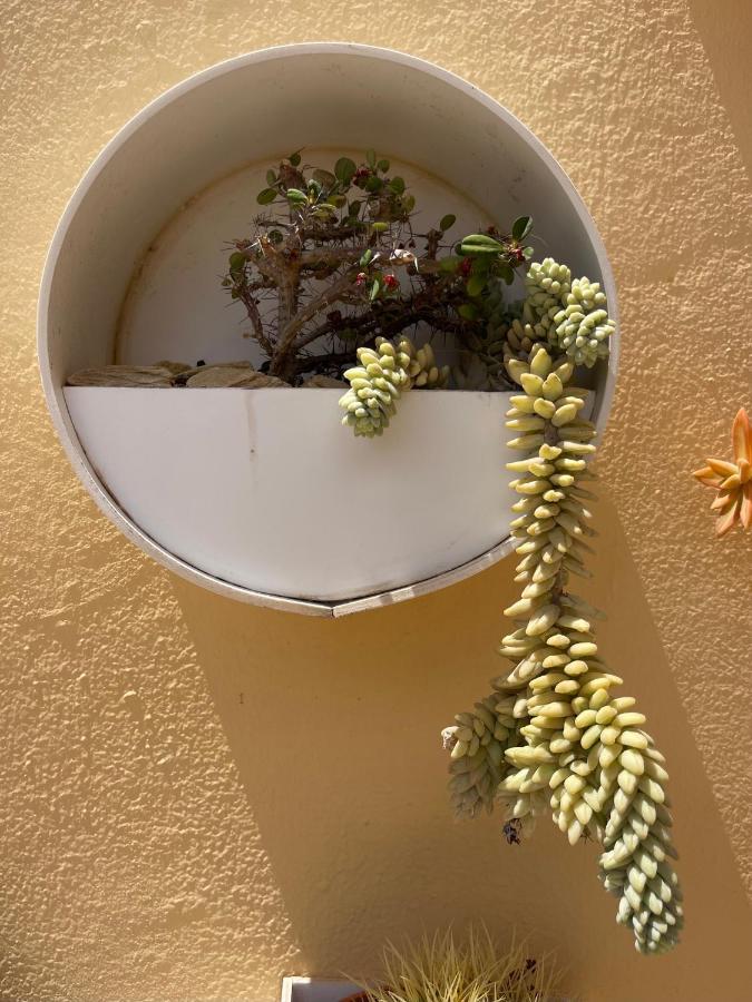 Eco House Golfinhos Διαμέρισμα Κοραλέχο Εξωτερικό φωτογραφία