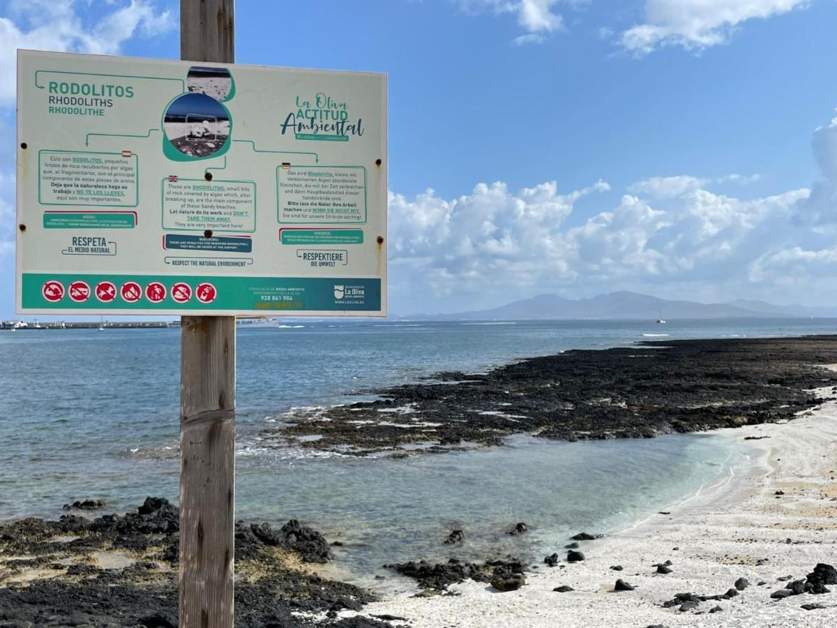 Eco House Golfinhos Διαμέρισμα Κοραλέχο Εξωτερικό φωτογραφία