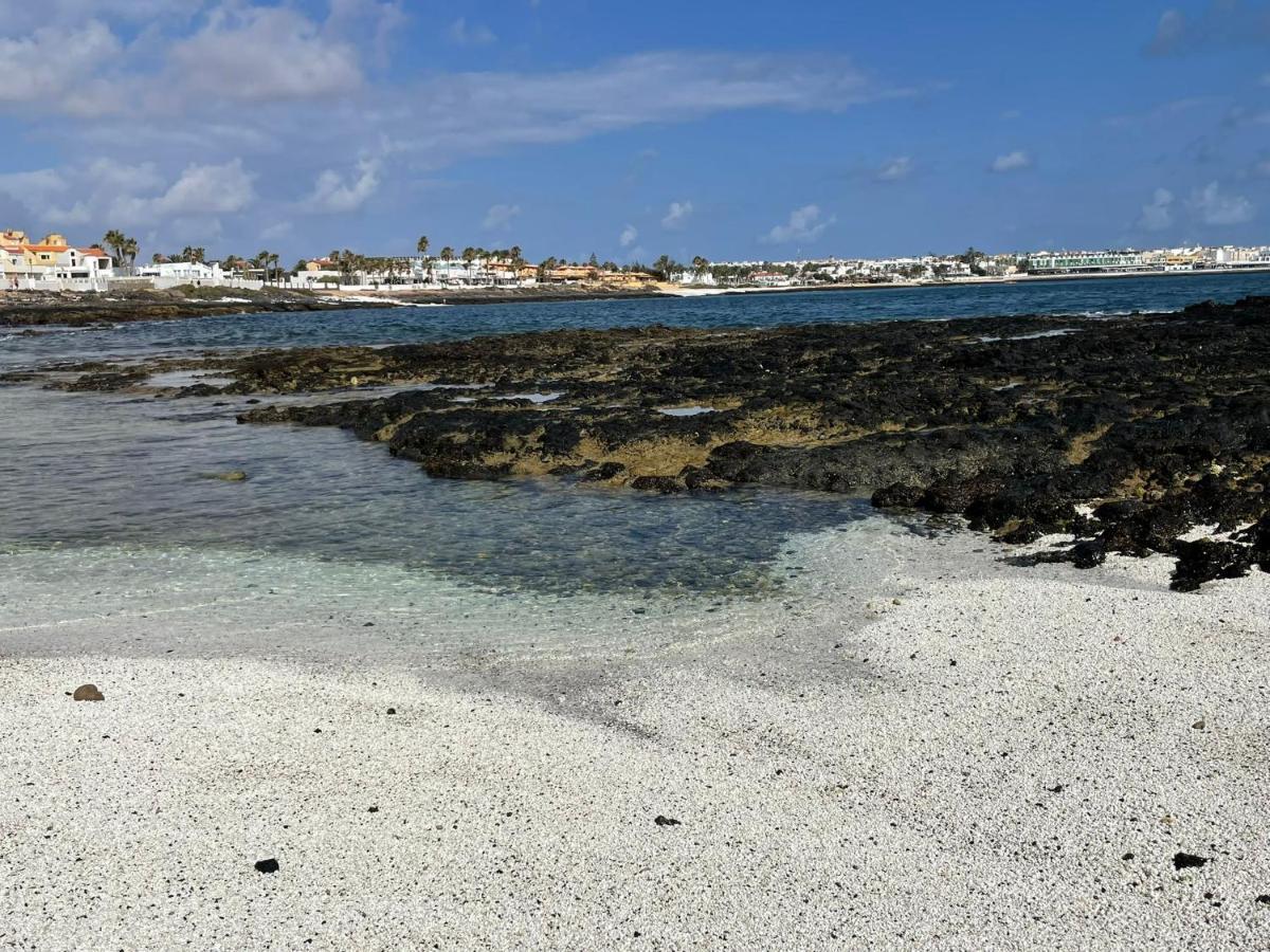 Eco House Golfinhos Διαμέρισμα Κοραλέχο Εξωτερικό φωτογραφία